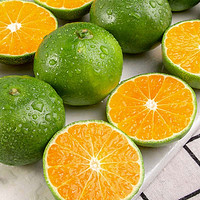 青皮橘子   9.5-10斤 （单果50-60mm）