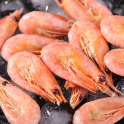 哺食旺北极熟冻带籽甜虾2斤