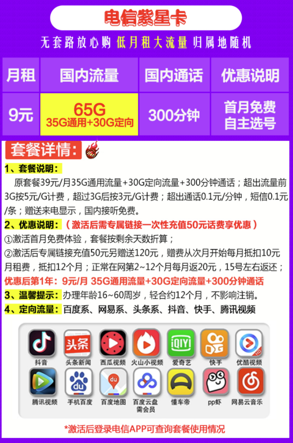 CHINA TELECOM 中国电信 电信紫星卡 65G流量300分钟+赠会员 9元/月