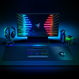 RAZER 雷蛇 凌甲虫 940*410*4mm 游戏鼠标垫 黑色