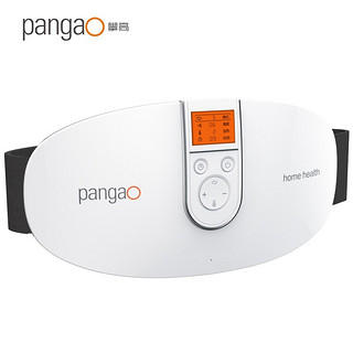 攀高（PANGAO）腰部按摩器 腹部按摩器 腰部按摩 热敷脉冲按摩器实用节日礼物 PG-2646（白）