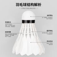 评论有奖：品牌方终于憋不住了！运动鞋开始“内卷”跳水式降价！