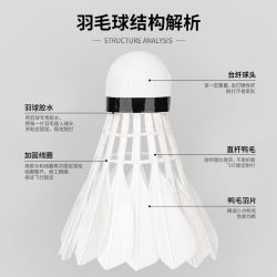 Agnite安格耐特羽毛球3只装