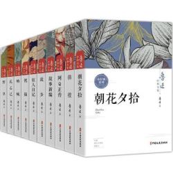 《鲁迅经典全集》(全十册)
