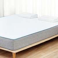 8H 双面可睡乳胶弹簧加厚床垫M5天然乳胶独立弹簧床芯垫23CM