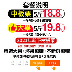 甲午先生 2021新鲜丹东大板栗5斤生鲜栗子生嫩板粟板票 锥油野生栗农家蔬菜