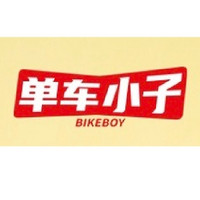 BIKE BOY/单车小子