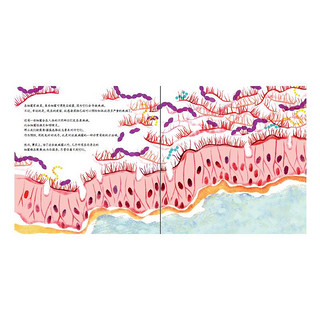 《爱与心灵成长国际大奖图画书·细菌的小世界》