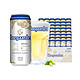 Hoegaarden 福佳 比利时风味 白啤酒 310ml*48听