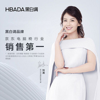 HBADA 黑白调 电脑椅学习椅办公椅子小户型书房家用学生座椅人体工学椅 黑色 HDNY163-轻灵 轻灵