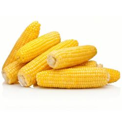 plus会员shuiguoshucai水果蔬菜黄玉米5根