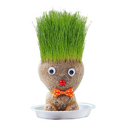 鹿凌青抖音小草人长草头娃娃可爱创意盆栽浇水长草植物旺财懒人水培不