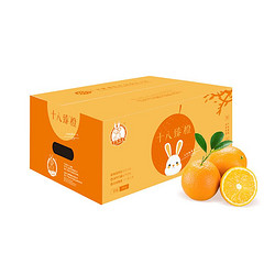 京觅 十八臻橙 赣南脐橙 5kg（单果约200g以上）钻石果 礼盒装