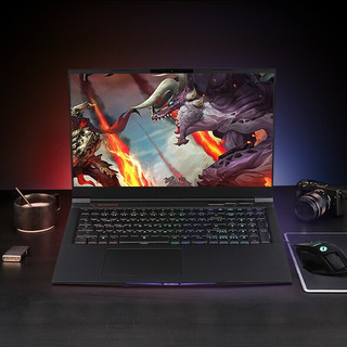 MECHREVO 机械革命 深海泰坦X10Pro 十一代酷睿版 17.3英寸 游戏本 黑色 (酷睿I9-11900H、RTX 3080 16G、32GB、512GB SSD+2TB HDD、2K、IPS、165Hz）