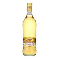 SUNTORY 三得利 啤酒金纯生500ml*12听日本生啤热销金质优酿原料工艺 新鲜