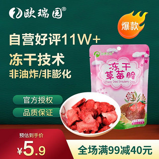 Orientland 欧瑞园 果脆冻干水果脆片草莓干即食休闲零食办公室小吃果脯非油炸冻干果蔬脆大礼包儿童零食 草莓干果脆 13g