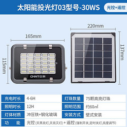 CHNT 正泰 太阳能灯路灯户外庭院灯 LED太阳能投光灯家用室外壁灯新农村院子道路照明灯防水省点智能光感遥控