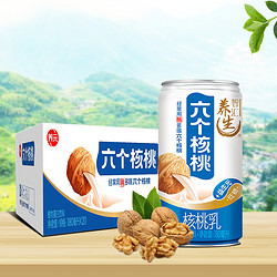 养元 六个核桃 智汇养生核桃乳植物蛋白饮料 180ml*20罐 箱装饮品