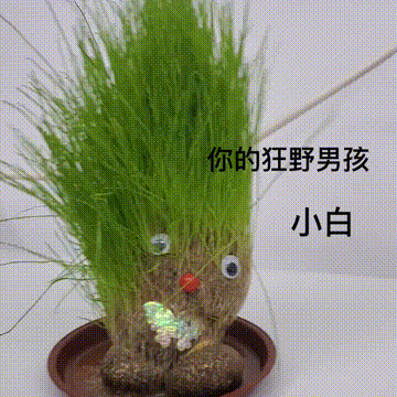 养成系又丑又萌?!