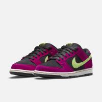 NIKE 耐克 SB Dunk Low Pro 男女滑板鞋