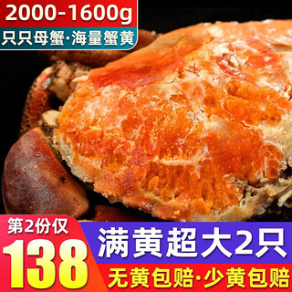 鲜味时刻 海鲜螃蟹 面包蟹鲜活超大 2000-1600g共2只活鲜鲜活熟冻