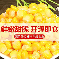 穗康 即食水果甜玉米粒400g/罐榨玉米榨汁炒菜拌沙拉甜玉米粒