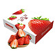 88VIP：丹东红颜99奶油草莓 约重500g/15-24颗