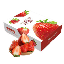 丹东红颜99奶油草莓 约重500g/15-24颗 