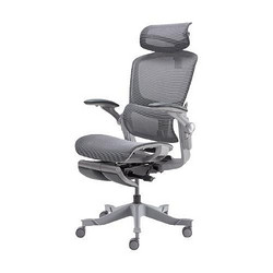YANXUAN 网易严选 3D悬挂腰靠人体工学椅 高端升级款