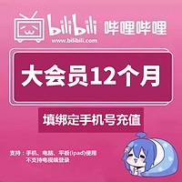 大会员 Bilibili 大会员年卡绑定手机号 充值秒到账APP付款108元