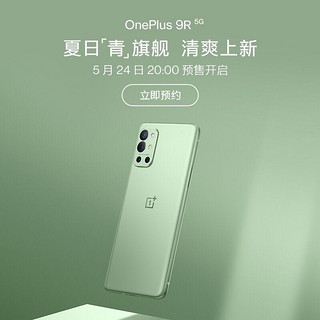 OnePlus 一加 9R 5G 120Hz 柔性屏8GB+256GB 青宇 骁龙870 65W快充  专业游戏配置 超大广角拍照手机