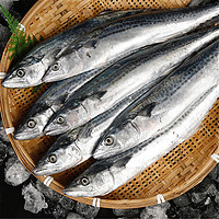 东半山 舟山海鲜新鲜马鲛鱼 1-1.5斤/条