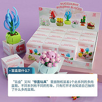 XINGBAO 星堡积木 多肉植物花盆带盆栽国潮积木拼装玩具