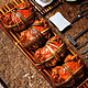 隆上记 鲜活大闸蟹 公4.4-4.7两 母3.4-3.7两 4对8只 现货实物螃蟹礼盒 去绳足重 生鲜 海鲜水产