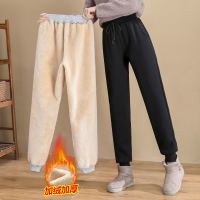 JEANSWEST 真维斯 女士加绒休闲运动裤 251936