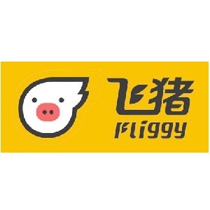 Fliggy/飞猪