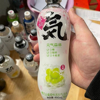 元气气泡水 480ml*5 多口味 元気·森林 苏打气泡水 乳酸菌(5瓶)