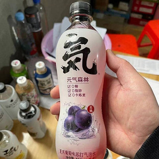 元气气泡水 480ml*5 多口味 元気·森林 苏打气泡水 乳酸菌(5瓶)