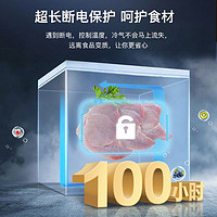 Wanbao 万宝 145升家用商用单温小冰柜冷藏冷冻转换冷柜一级能效母婴母乳卧式小冰箱 BC/BD-145DE