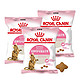 ROYAL CANIN 皇家 绝育幼猫粮50g*3