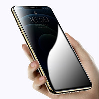 DINEINLY 电引力 高清护眼绿光贴膜 全屏防窥 iphone 11 2片装