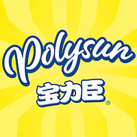 Polysun/宝力臣