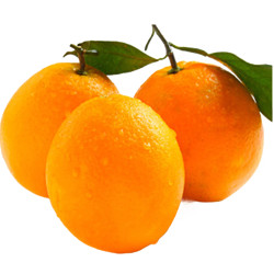深山万家农特 四川纽荷尔脐橙 橙子5斤送4斤 共9斤