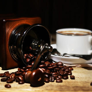 HOGOOD COFFEE 后谷咖啡 AA特高海拔咖啡豆 248g