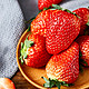 PLUS会员：至尚云巅   大凉山牛奶草莓     5斤大果（80-95个）