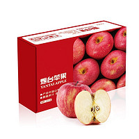 京觅 烟台红富士苹果 12个 净重2.1kg以上 单果160-190g