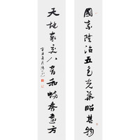 社员张炜羽行书对联《国家隆治五色光华昭其物》书画字画书法作品收藏新中式装饰画客厅挂画