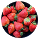 果仙享 奶油草莓冬草莓 巧克力草莓 3斤装