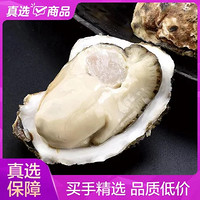 国美真选正宗乳山生蚝L号净重5斤（单个重50-100g） 9成肥度 肉厚饱满 产地直发