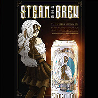 STEAM BREW 斯汀姆（STEAM BREW）赛斯IPA精酿啤酒 500ml*6听 德国原罐进口
